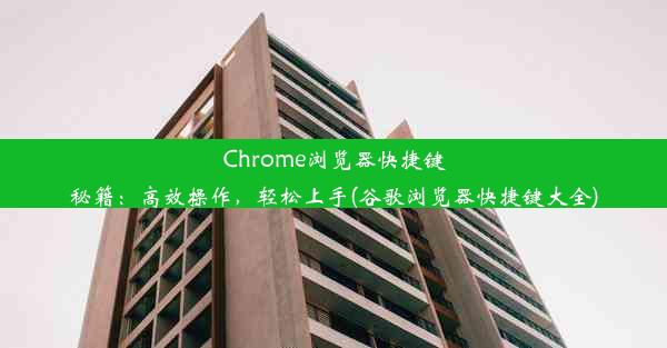 Chrome浏览器快捷键秘籍：高效操作，轻松上手(谷歌浏览器快捷键大全)