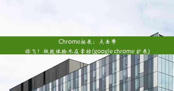 Chrome拓展：点击带你飞！极致体验尽在掌控(google chrome 扩展)