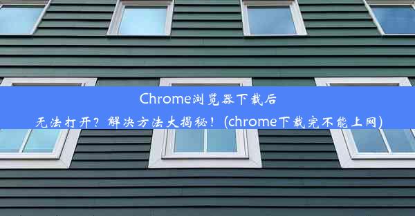 Chrome浏览器下载后无法打开？解决方法大揭秘！(chrome下载完不能上网)