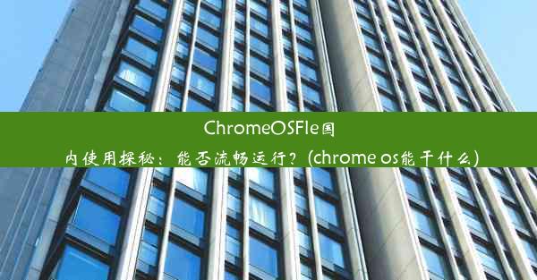 ChromeOSFle国内使用探秘：能否流畅运行？(chrome os能干什么)