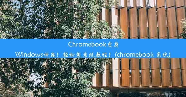 Chromebook变身Windows神器！轻松装系统教程！(chromebook 系统)