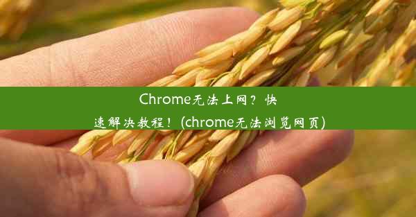 Chrome无法上网？快速解决教程！(chrome无法浏览网页)