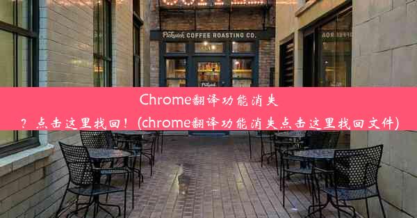 Chrome翻译功能消失？点击这里找回！(chrome翻译功能消失点击这里找回文件)