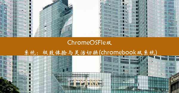 ChromeOSFle双系统：极致体验与灵活切换(chromebook双系统)