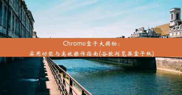 Chrome盒子大揭秘：实用功能与高效操作指南(谷歌浏览器盒子版)