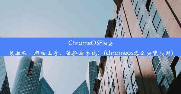 ChromeOSFle安装教程：轻松上手，体验新系统！(chromeos怎么安装应用)