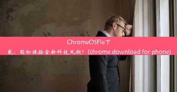 ChromeOSFle下载：轻松体验全新科技风潮！(chrome download for phone)