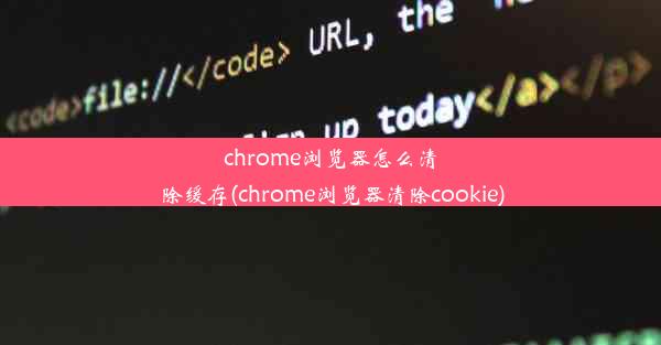 chrome浏览器怎么清除缓存(chrome浏览器清除cookie)