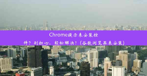 Chrome提示未安装控件？别担心，轻松解决！(谷歌浏览器未安装)